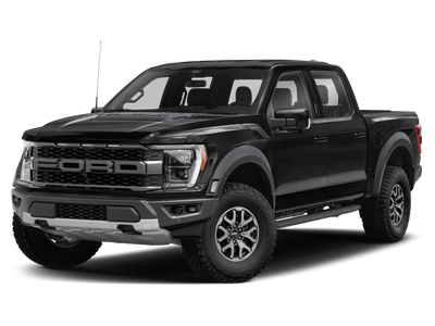 2022 Ford F-150 Raptor 37 PERFORMANCE PACKAGE